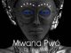 DJ LÉO MIX – MWANA PWÓ (ORIGINAL MIX)