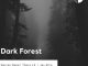 WARREN DEEP & THEXY LX FT JAY AFRO – DARK FOREST