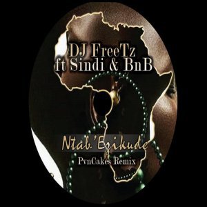 DJ FreeTz - Ntab’ Ezikude (PvnCakes Rem Ft. Sindi & BnB