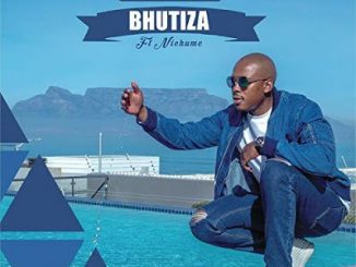 Mobi Dixon - Bhutiza (Vida Soul Remix) Ft. Nichume