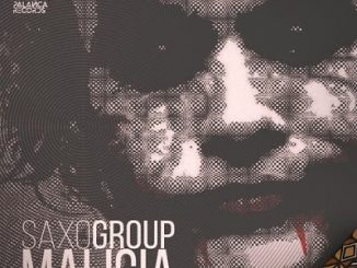 SaxoGroup - Malícia