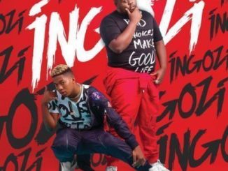 RudeBoyz – Ingozi Ft. Nokwazi & TNS