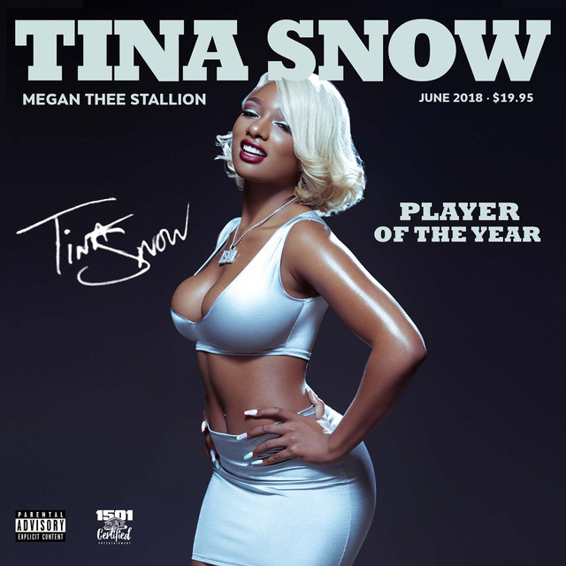 Megan Thee Stallion - Good At