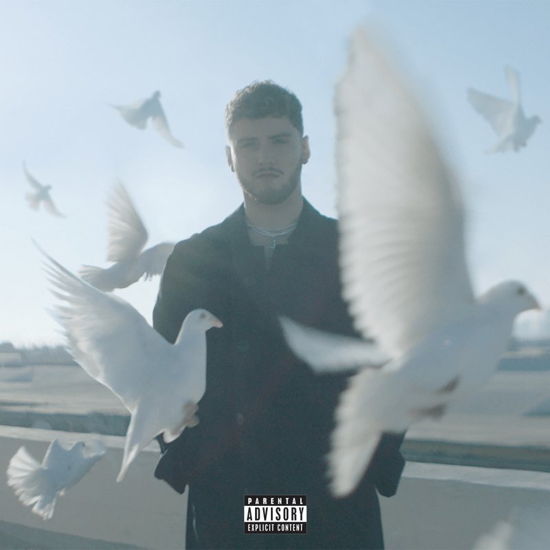 ALBUM: Bazzi – Soul Searching