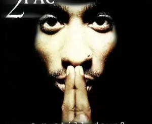 ALBUM: 2Pac - R U Still Down? (Remember Me)