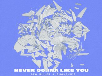 Bea Miller ft. Snakehips – Never Gonna Like You