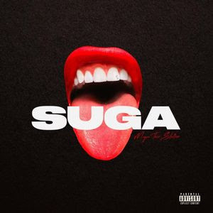 ALBUM: Megan Thee Stallion – Suga