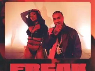 Tyga & Megan Thee Stallion – FREAK