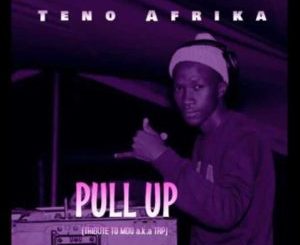 Teno Afrika & SilvadropZ – Run Free (Vocal Mix)