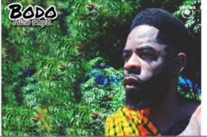 Mizo Phyll – Bodo