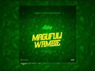 Aslay – Magufuli Wambie