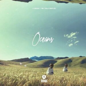 Hillsong UNITED – Oceans (Mshayi & Mr Thela Bootleg)