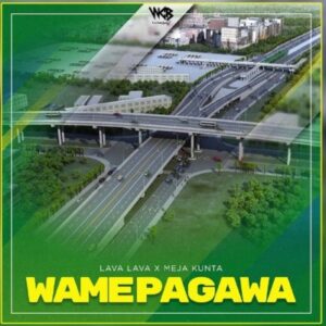 Lava Lava - Wamepagawa Ft. Meja Kunta