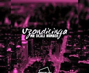 Mr Dlali Number – Uzondicinga