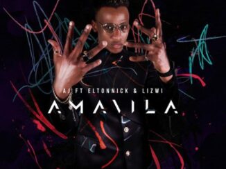 AJ – Amavila Ft. Eltonnick & Lizwi