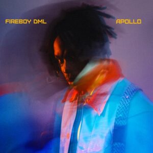 Fireboy DML - Shadé