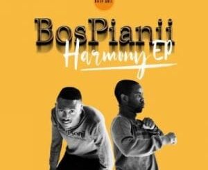 BosPianii – Harmony