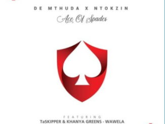 De Mthuda - Wawela Ft. Taskipper, Ntokzin& Khanya Greens