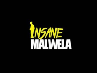 Insane Malwela - Demented Us Ft. Cheestos