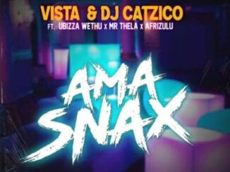 Vista - Ama Snax Ft. Ubizza Wethu, Dj Catzico , Mr Thela & Afrizulu