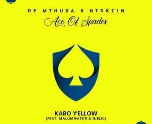 De Mthuda & Ntokzin – Kabo Yellow ft. MalumNator & Njelic