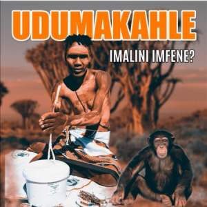 Dumakahle - Imalini Imfene?