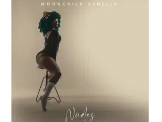 Moonchild Sanelly – Thunda Thighs