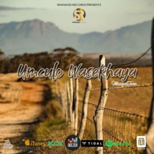 Muziqal Tone - Mam’Ghoobozi Ft. Nandi Ndathane