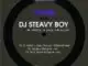 DJ Steavy Boy – Sunlight From Darkness (Original Mix)