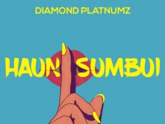 Diamond Platnumz – Haunisumbui