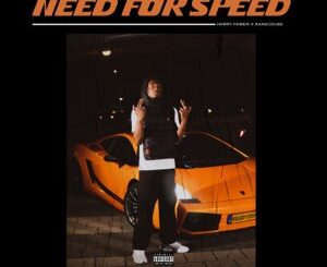 Harry Femer & Kaascouse – Need for Speed