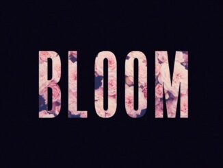 EP: Lewis Capaldi - Bloom