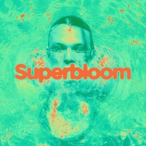 ALBUM: Ashton Irwin – Superbloom