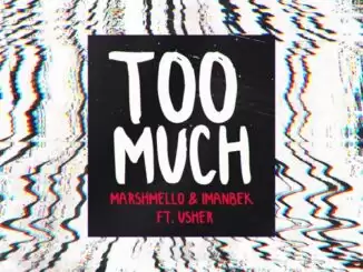 Marshmello & Imanbek – Too Much (feat. Usher)