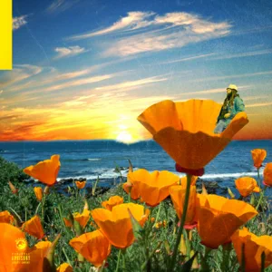 ALBUM: Rexx Life Raj – California Poppy 2