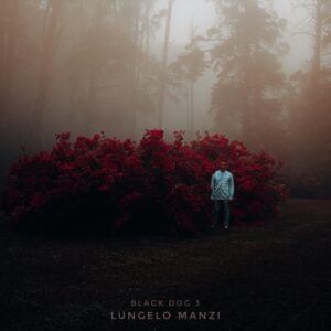 Lungelo Manzi – Sabela