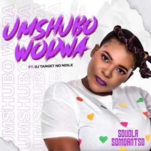 Sdudla Somdantso – Umshubo Wodwa Ft. Dj Target No Ndile