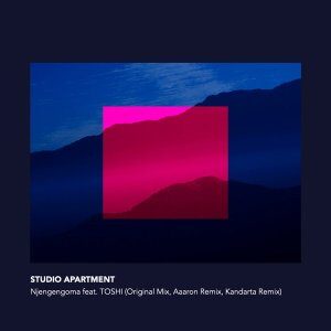 Studio Apartment – Njengengoma Ft. TOSHI