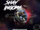 Troymusiq – Shay’ingoma Ft. Dj Jim Mastershine