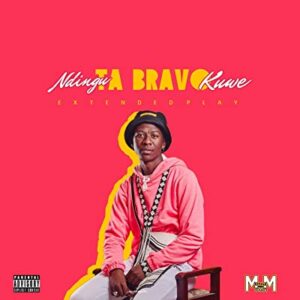 Bravo Le Roux – Abaya Ft. Info