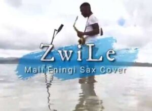 Big Zulu – Mali Eningi Ft. Riky Rick & Intaba Yase Dubai (Zwile Sax Cover)