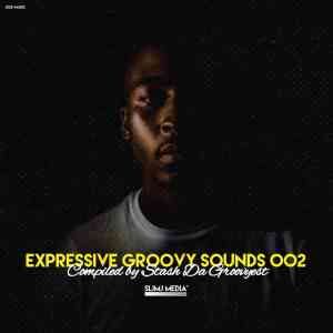 Stash Da Groovyest – Expressive Groovy Sounds 002 Mix