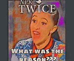 Npk Twice – What Was the Reason