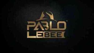 Pablo Le Bee – 30 Mins Mix (February Editiion)