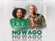 VIDEO: Prince Benza – Ngwago Ft. Makhadzi