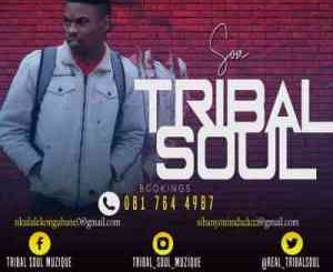 Tribal Soul – SOA Exclusive Selections Vol. 1