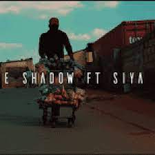 Prince Shadow – iMali Ft. Siya Shezi