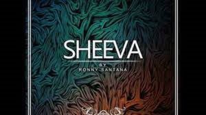 Ronny Santana – Sheeva (Original Mix)