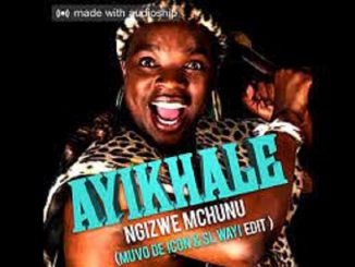 Ngizwe Mchunu – Ayikhale (Muvo De Icon & SL-Wayi edit)