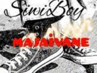 SiwiBoy – Majaivane (Original)